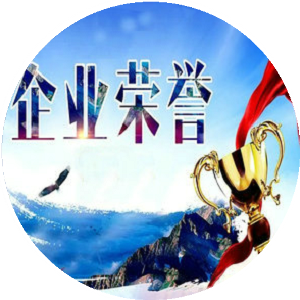 資質(zhì)榮譽(yù)